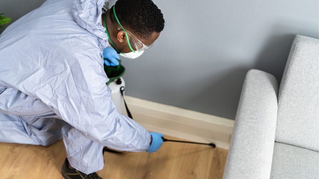 How to Prevent Termite Infestations in Edmond, OK Atlas Termite