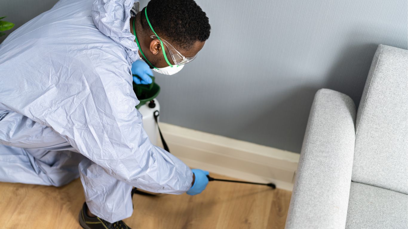 How to Prevent Termite Infestations in Edmond, OK