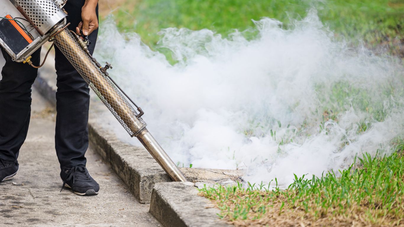 Mosquito Control Strategies for Edmond, OK Backyards