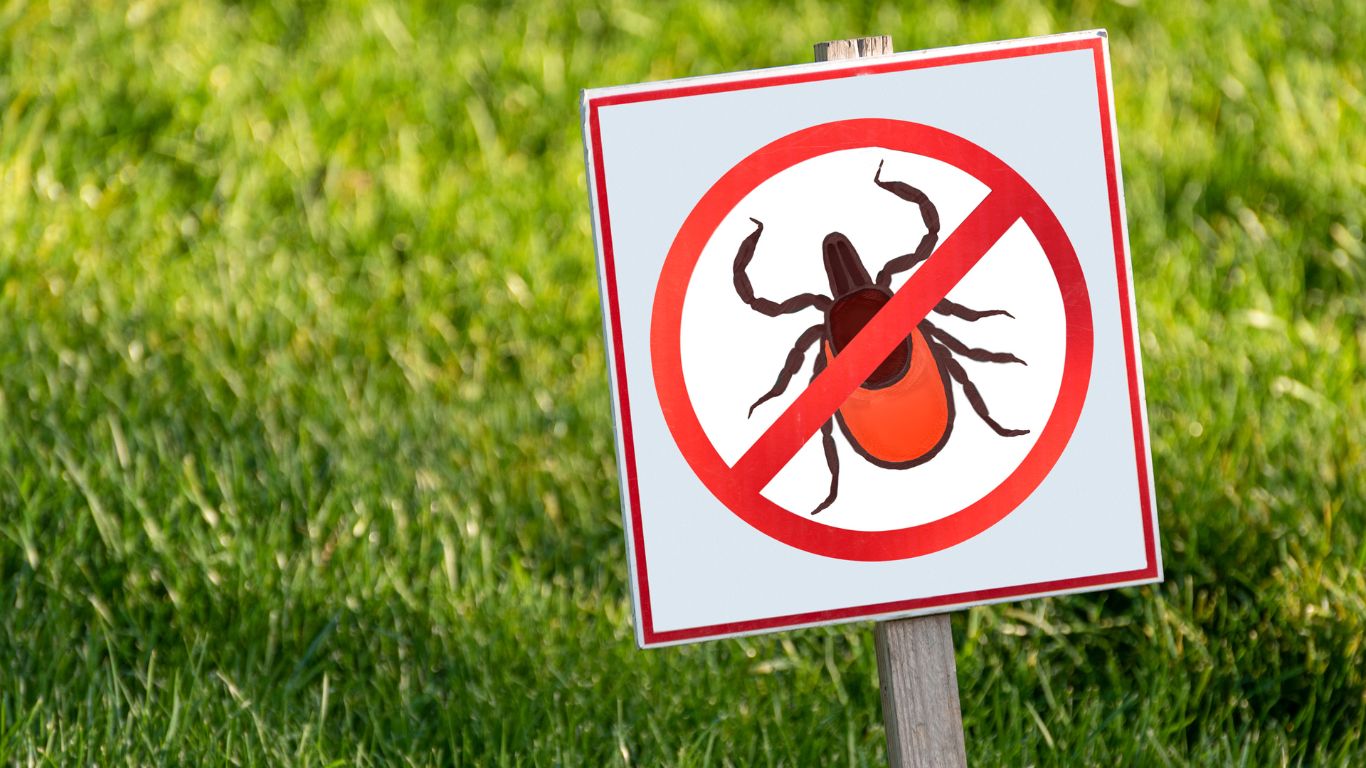 Lawn Pest Control Tips for Edmond, OK Homeowners Lawn Pest Control Tips for Edmond, OK Homeowners