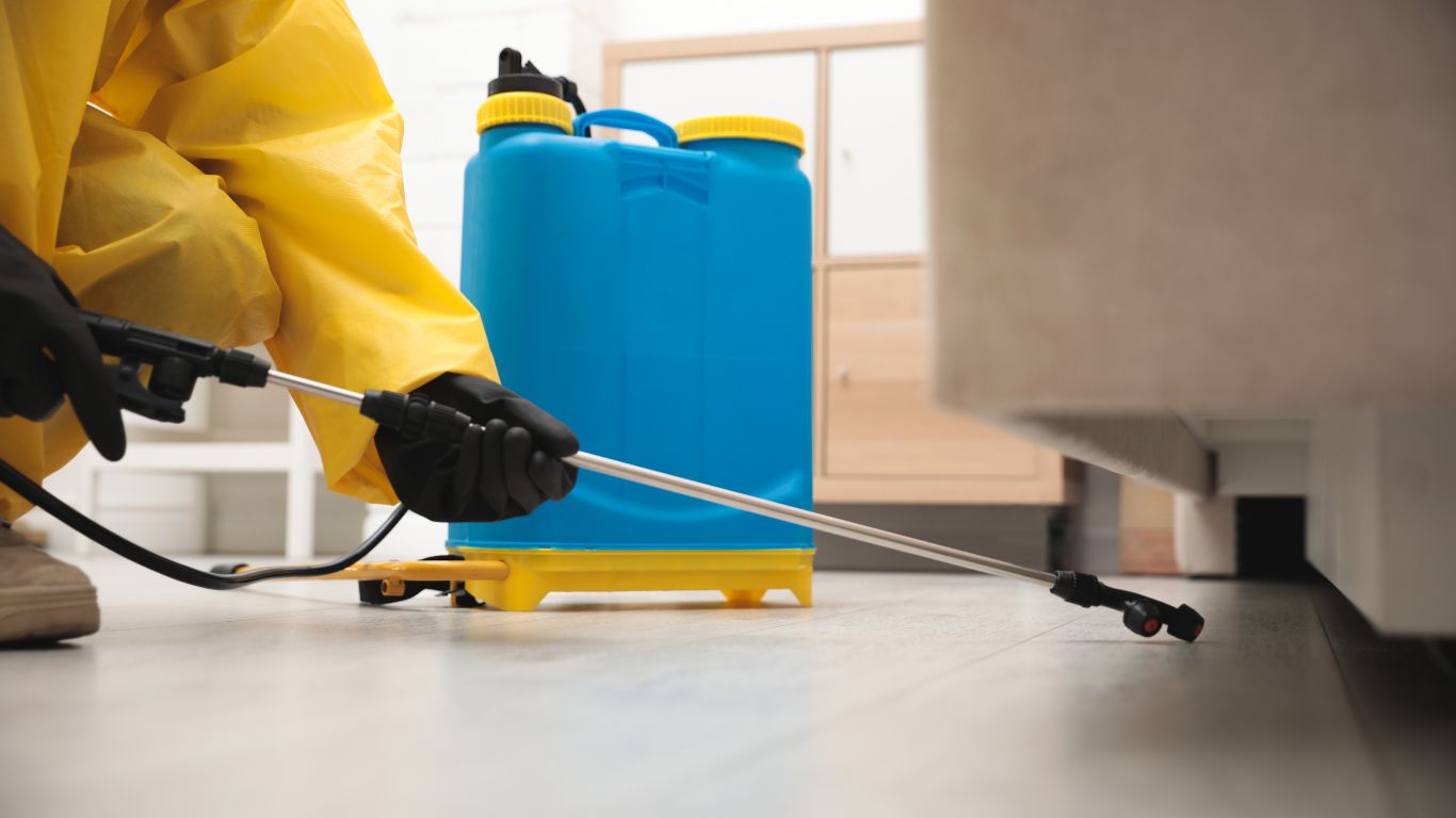 Preventing Indoor Pests During Winter in Edmond, OK Preventing Indoor Pests During Winter in Edmond, OK