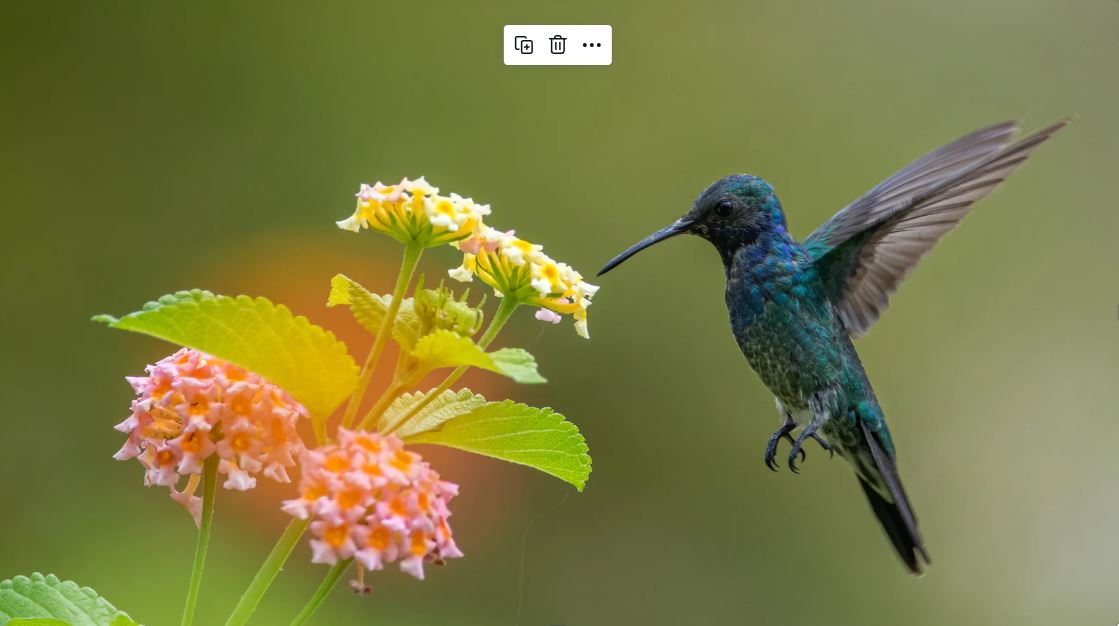 Bird Control for edmond Bird Control for edmond