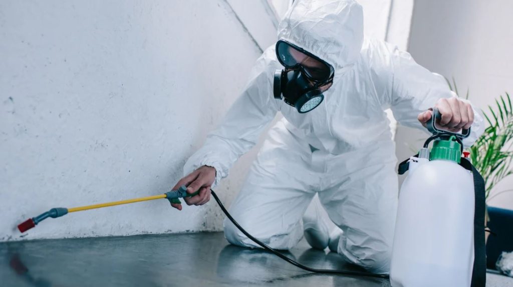 The Importance of Routine Pest Inspections for Edmond, OK Properties