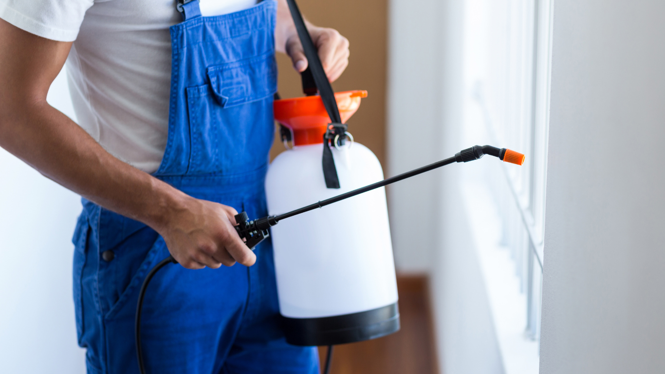 5 Essential Pest Control Practices for a Pest-Free Home in Norman Pest-Free Home in Norman