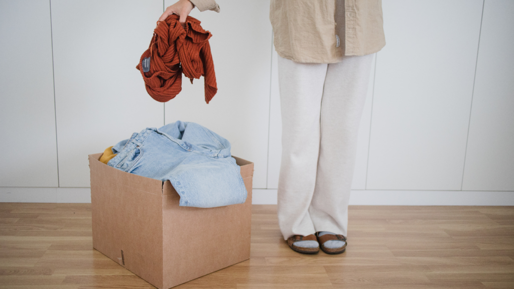 Decluttering a Pest-Infested Home: Tips for a Cleaner Space